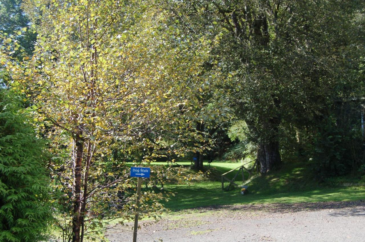 Lodge Luxury Woodland Oak