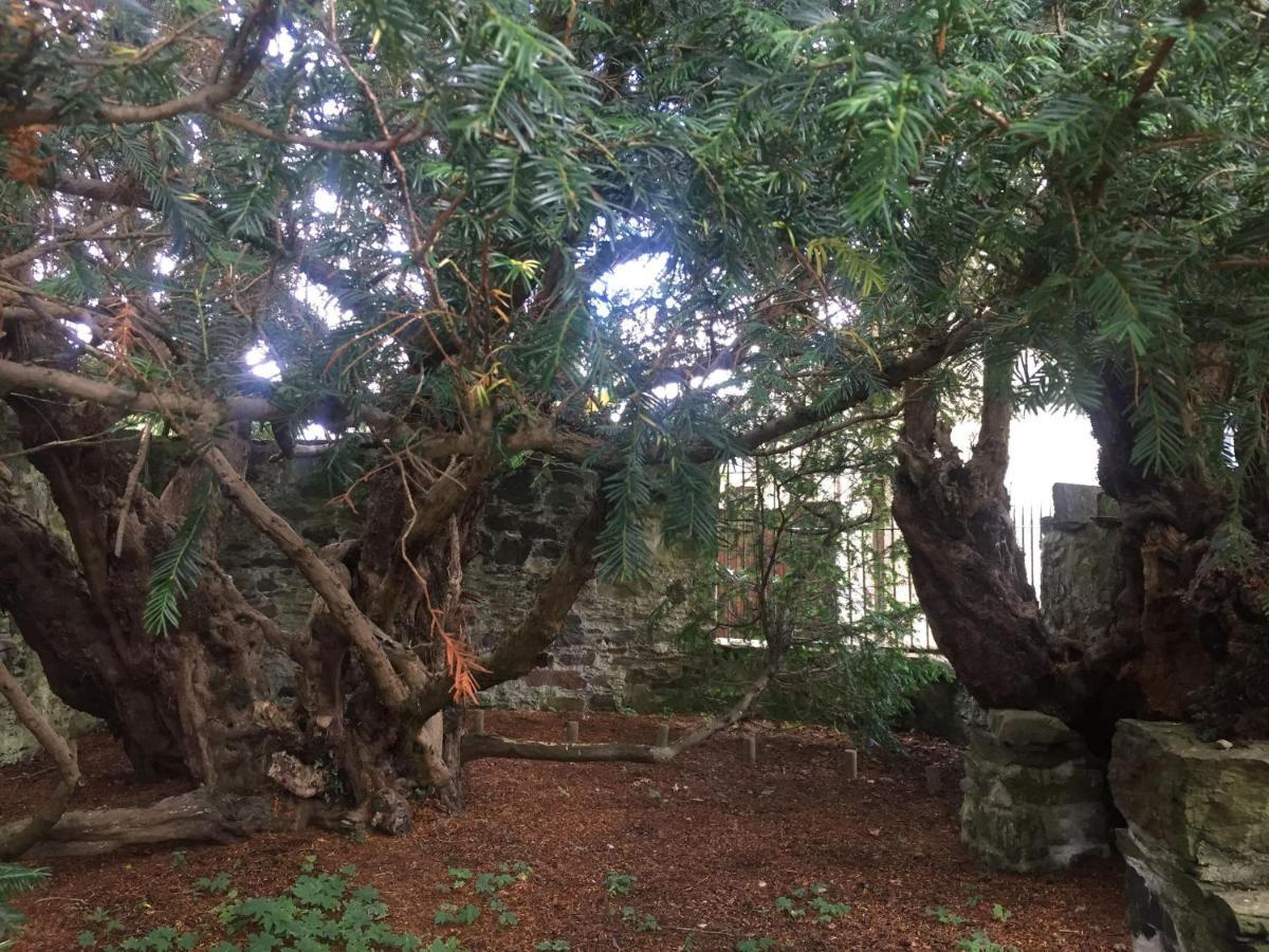 Luxury Woodland Oak