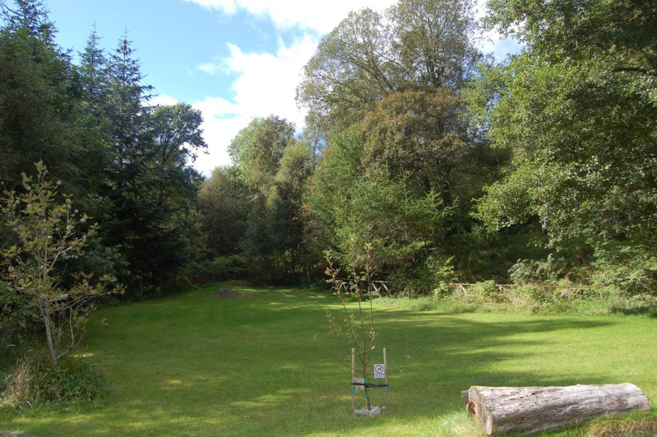 Luxury Woodland Oak Lodge