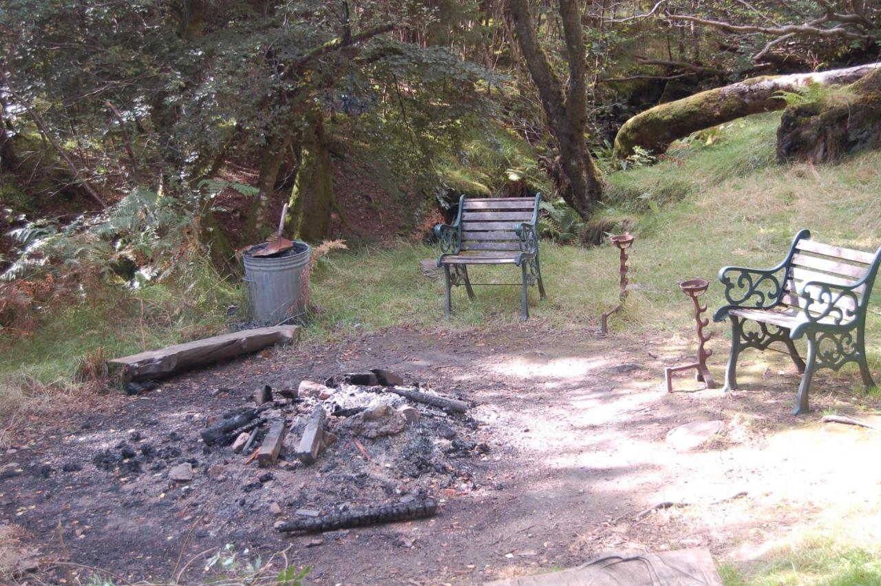 Lodge Luxury Woodland Oak *